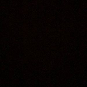 Meet your Posher, Bradlynn